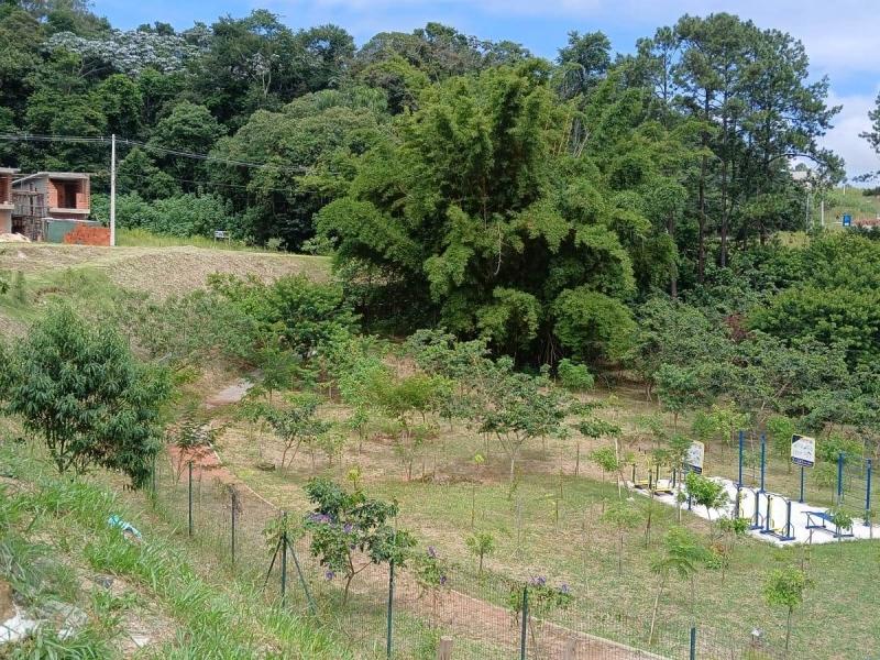 Foto 5 do imóvel