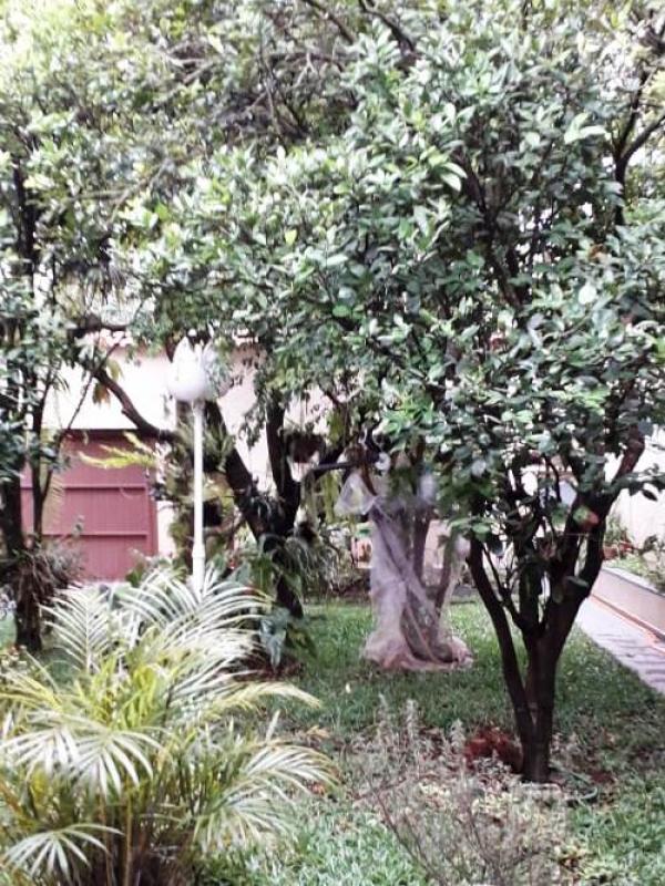 Foto 23 do imóvel