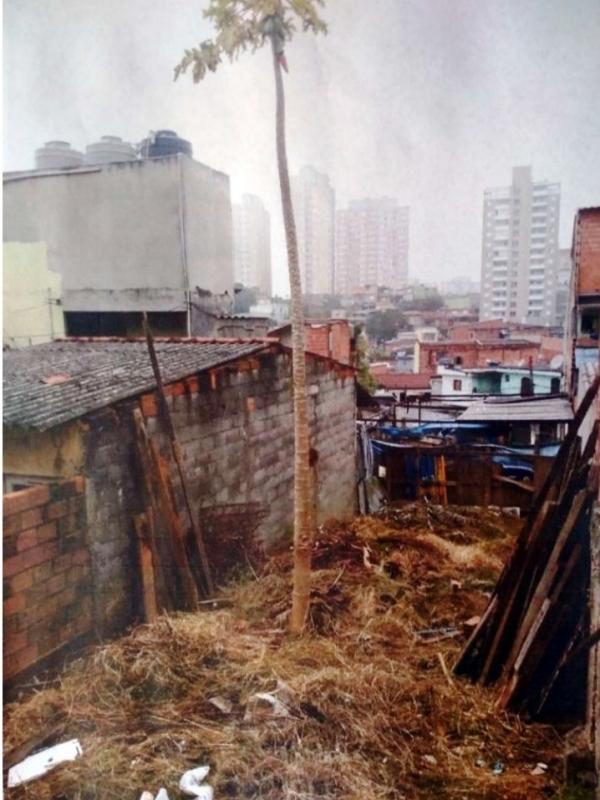Foto 4 do imóvel