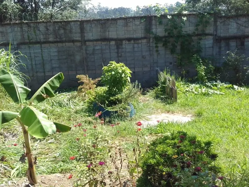 Foto 2 do imóvel