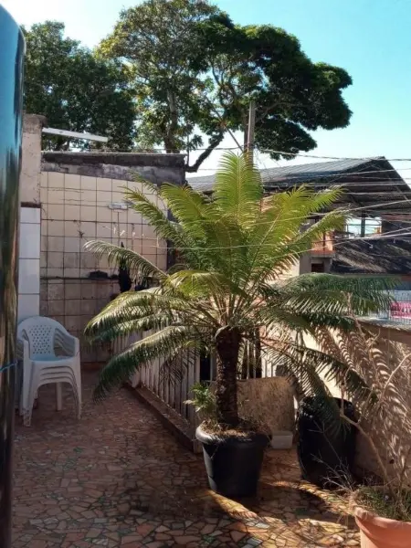 Foto 5 do imóvel