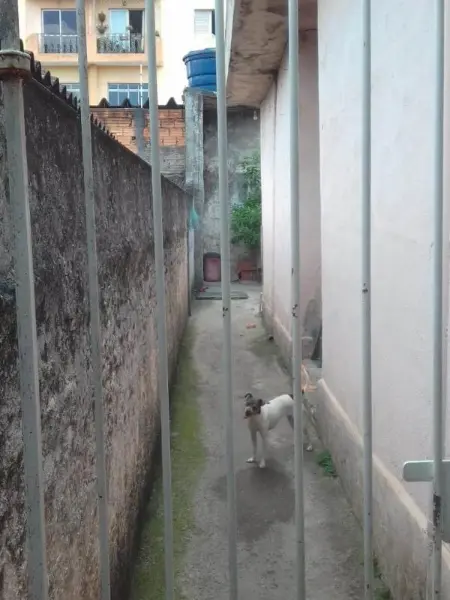 Foto 2 do imóvel