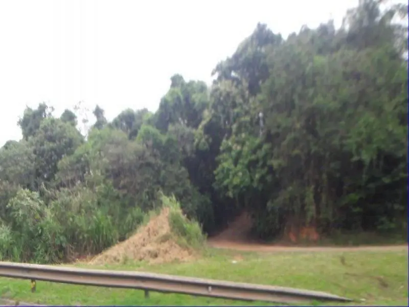 Foto 4 do imóvel