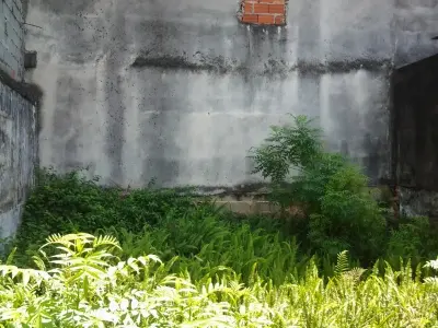 Foto 4 do imóvel