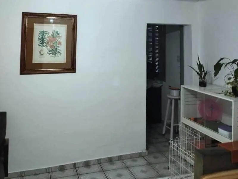 Imóvel 19916