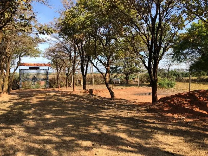 Foto 4 do imóvel