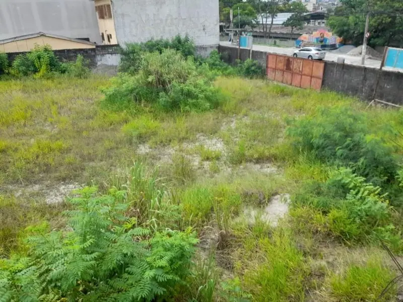 Imóvel 19871