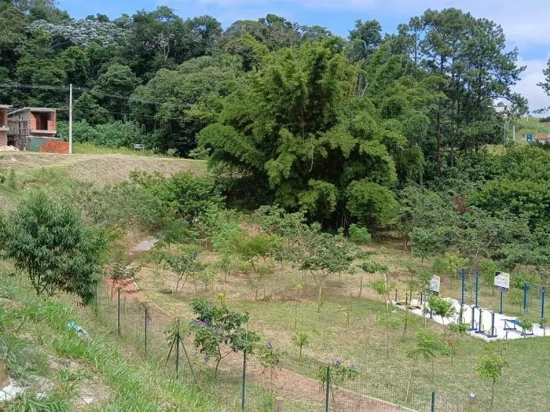 Foto 5 do imóvel