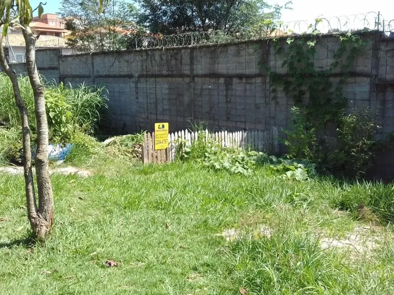 Foto 7 do imóvel